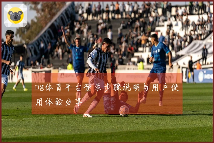 ng体育平台登录步骤说明与用户使用体验分享