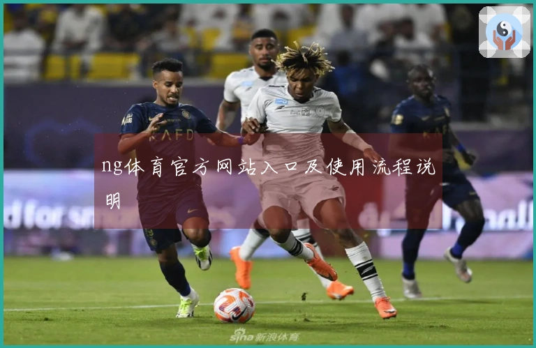 ng体育官方网站入口及使用流程说明