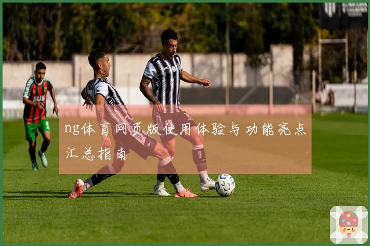 ng体育网页版使用体验与功能亮点汇总指南