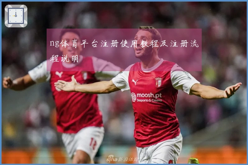 ng体育平台注册使用教程及注册流程说明