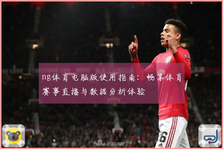 ng体育电脑版使用指南：畅享体育赛事直播与数据分析体验