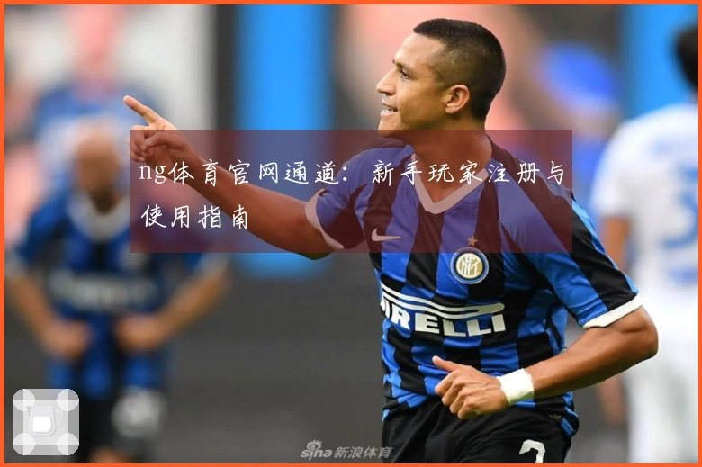 ng体育官网通道：新手玩家注册与使用指南