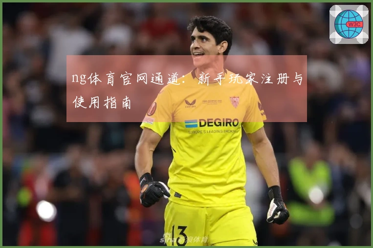 ng体育官网通道：新手玩家注册与使用指南