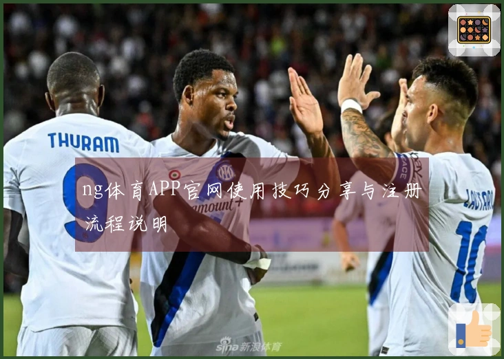 ng体育APP官网使用技巧分享与注册流程说明