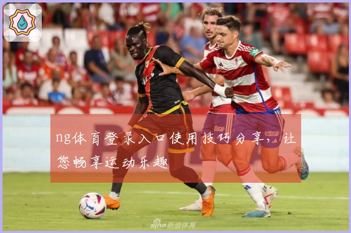 ng体育登录入口使用技巧分享，让您畅享运动乐趣
