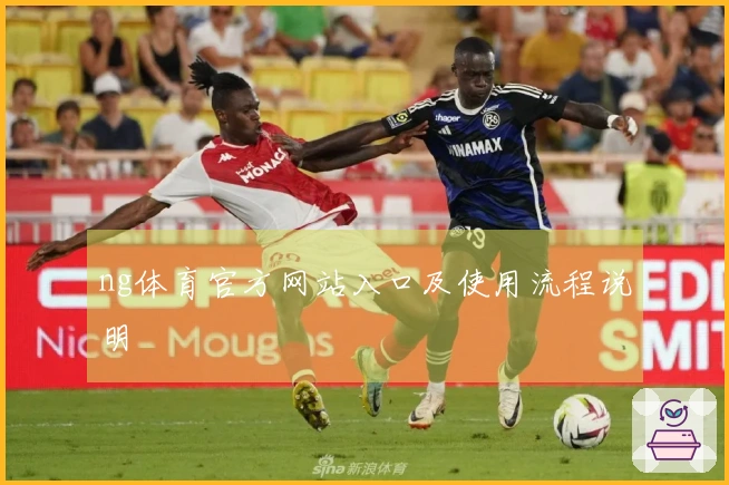 ng体育官方网站入口及使用流程说明