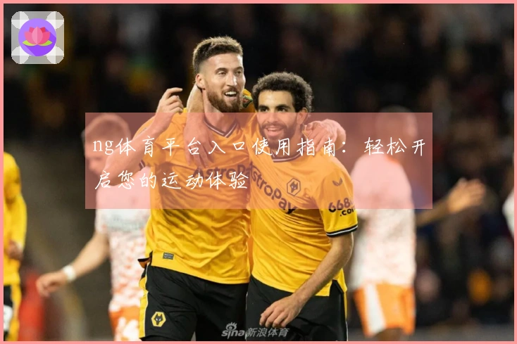ng体育平台入口使用指南：轻松开启您的运动体验