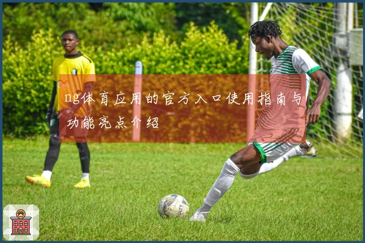 ng体育应用的官方入口使用指南与功能亮点介绍