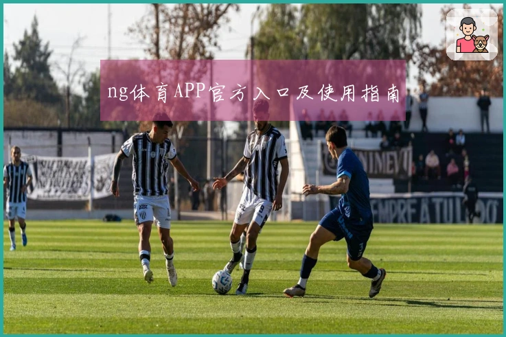 ng体育APP官方入口及使用指南
